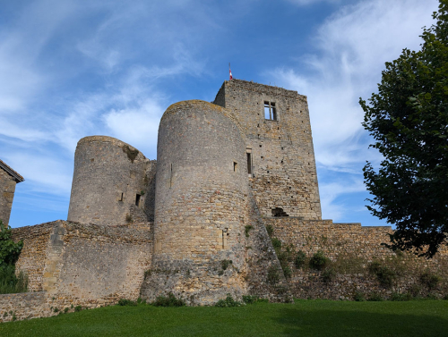 Conférences-débats