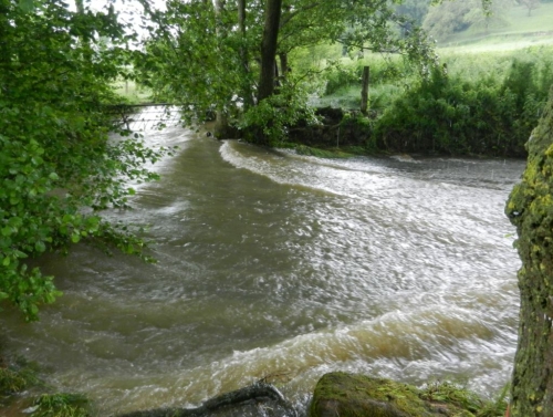La Marche du Chêne Bossu