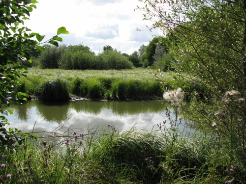Sortie « spéciale » photographie nature 