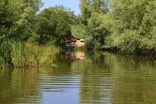 Printemps des ENS de Saône-et-Loire : le marais de Montceaux-L'Etoile