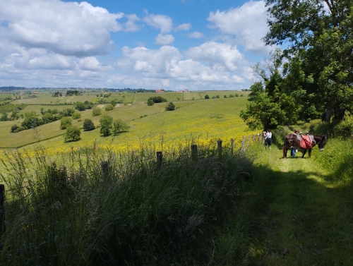 Randonnée pédestre avec un âne