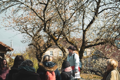 Balade commentée "De l'eau dans les canaux !"