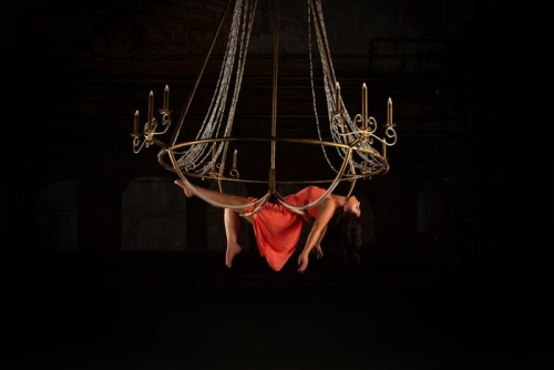 Cirque sur grand écran