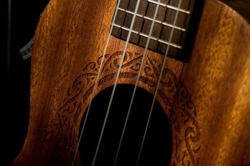 Concert sur grand écran : musique tsigane