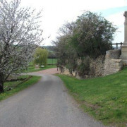 Marche du Berceau de la Race Charolaise