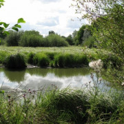 Sortie « spéciale » photographie nature 