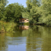 Printemps des ENS de Saône-et-Loire : le marais de Montceaux-L'Etoile