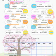 Programme des mercredis de février et mars 2026
