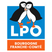 Les rainettes « a cappella » au Marais de Montceaux-l’Étoile