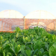 Portes ouvertes et visite libre du jardin