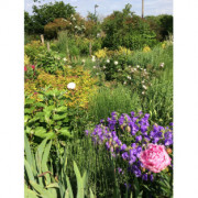 Conférence "L'eau au jardin"