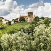 Concert de chants Renaissance