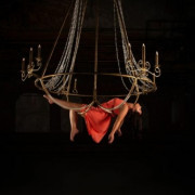 Cirque sur grand écran