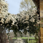 Rendez-vous aux jardins