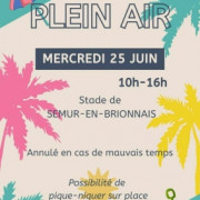 Ludo Plein Air