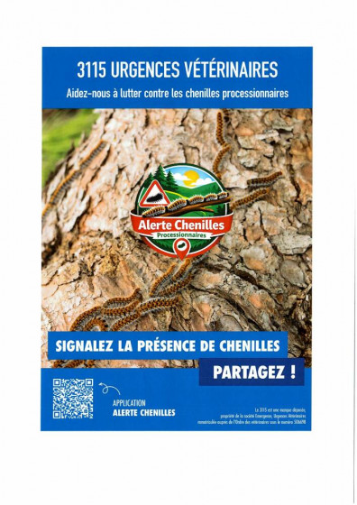Alerte Chenilles