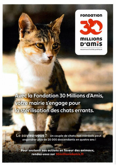 Campagne de stérilisation