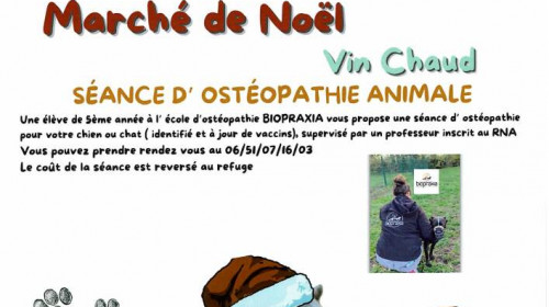 Noël des animaux