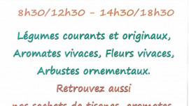 Vente de plants
